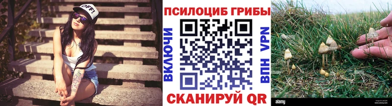 Псилоцибиновые грибы мицелий Свободный
